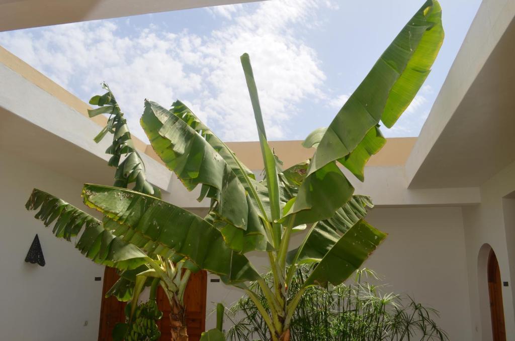 Casa Naima Ξενοδοχείο Ida Ougourd Εξωτερικό φωτογραφία