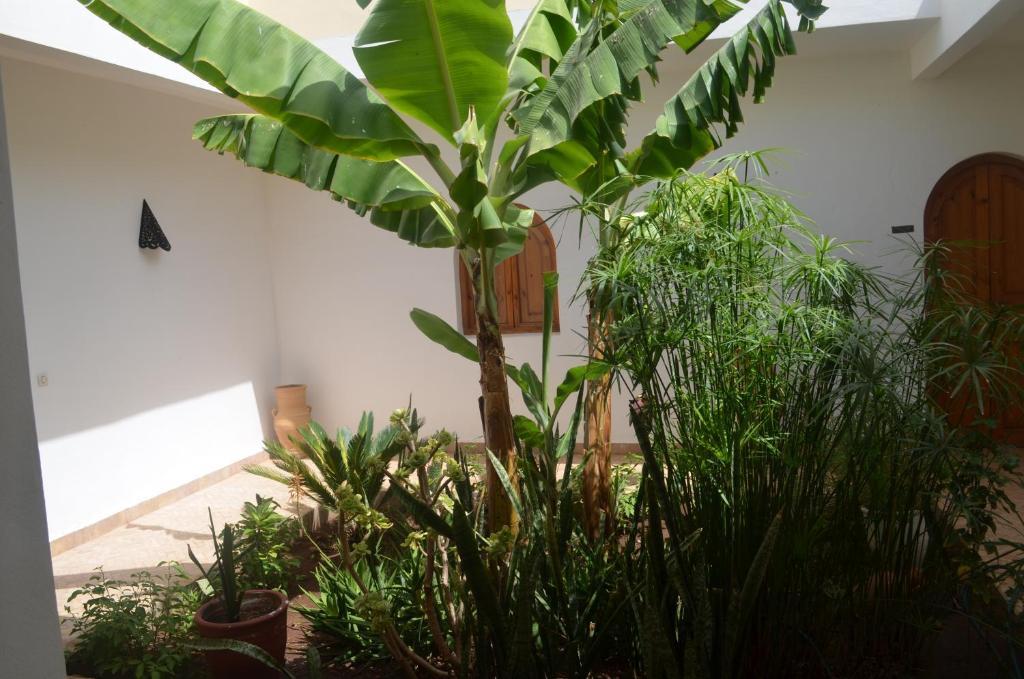 Casa Naima Ξενοδοχείο Ida Ougourd Εξωτερικό φωτογραφία